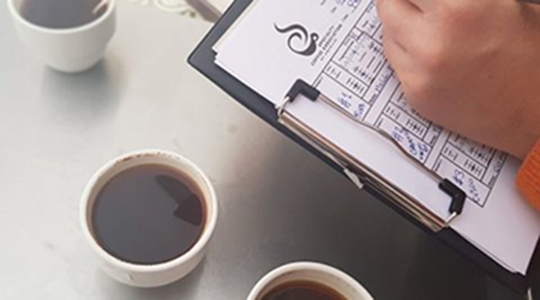 CURSOS PROFESIONALES: ANÁLISIS SENSORIAL DEL CAFÉ