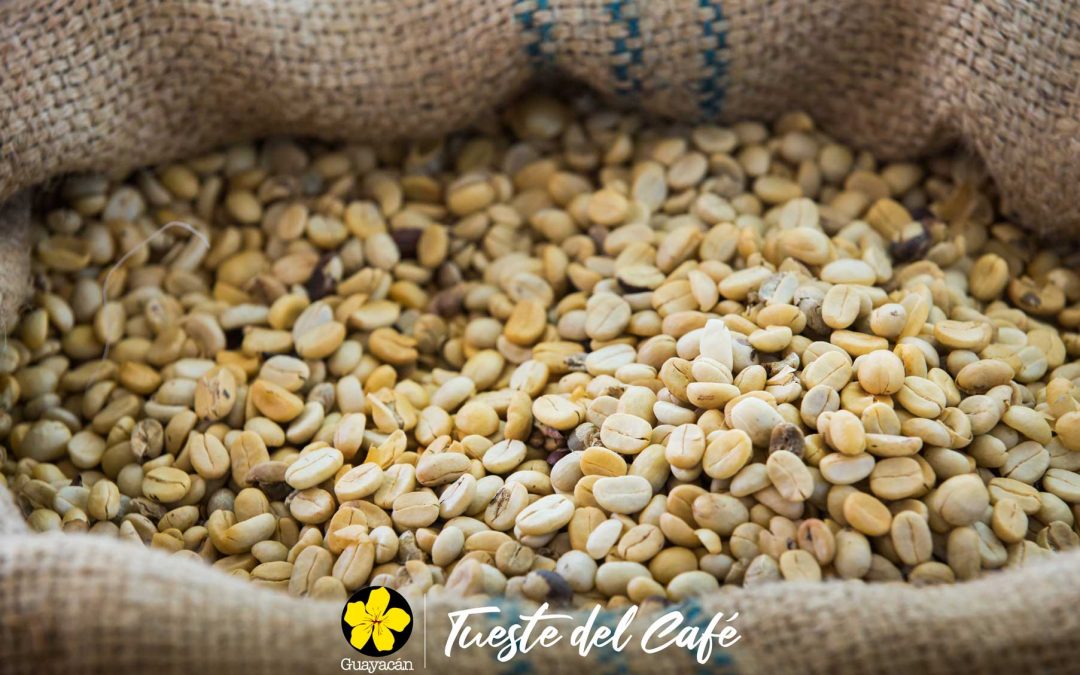 CURSOS PROFESIONALES: Tueste profesional de café