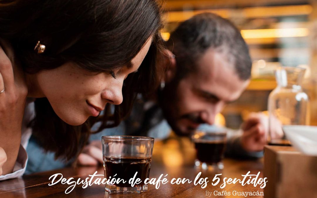 EXPERIENCIAS DE CAFÉ: Degustación de café con los cinco sentidos