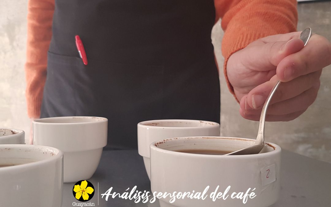 CURSOS PROFESIONALES: ANÁLISIS SENSORIAL DEL CAFÉ