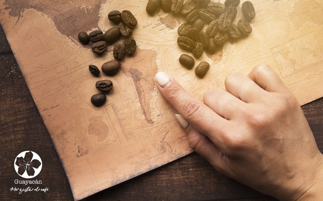 La llegada del cultivo de café a América