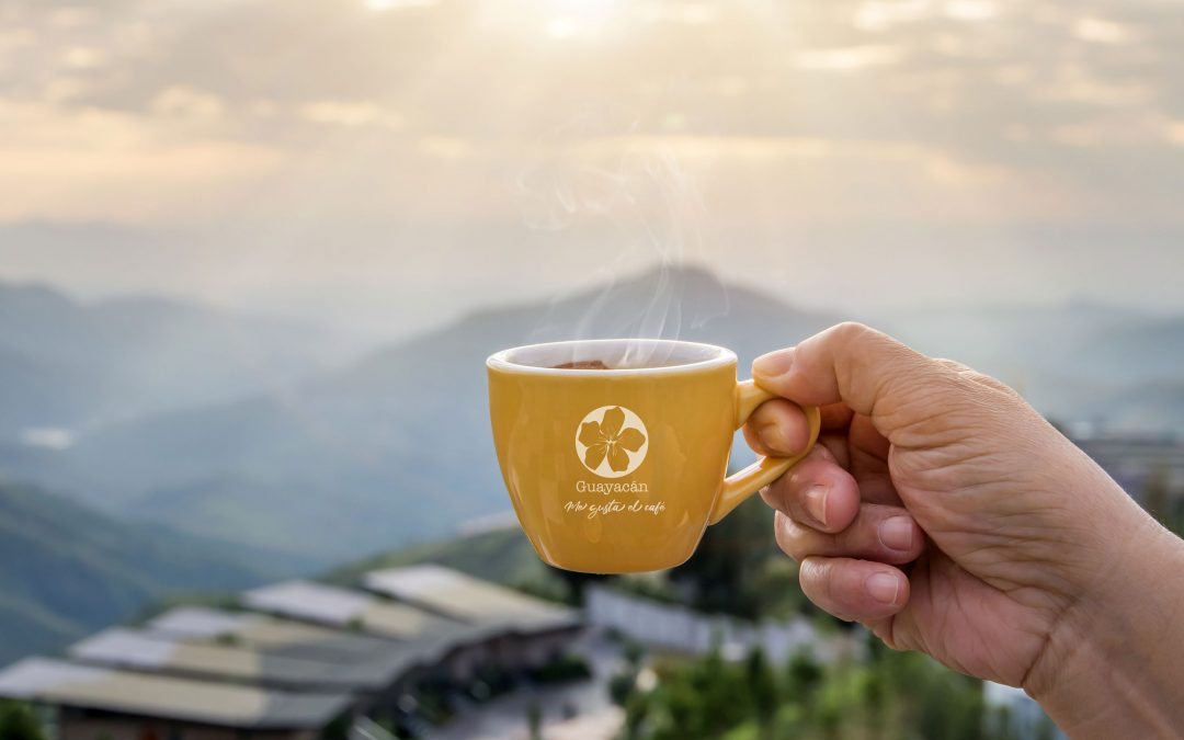 Por qué aparecen posos de café en la taza y cómo eliminarlos