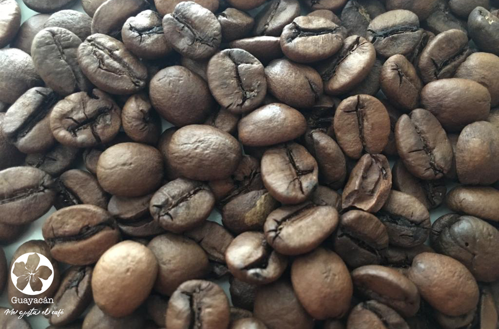 ¿Cómo elaborar el café campesino?